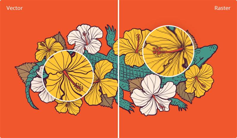 So sánh giữa hình ảnh vector và raster